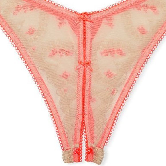 Hearts VS M DREAM ANGELS Heart Embroidery Brazillian Crotchless Panty NWT - Picture 14 of 15